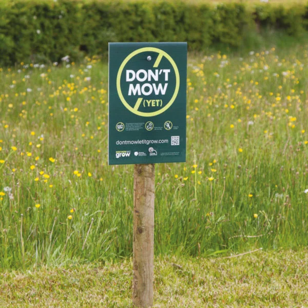 Watch out for a Don't Mow, Let It Grow Sign near you! - Don't Mow