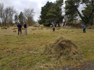Don't Mow Let It Grow volunteers in action!